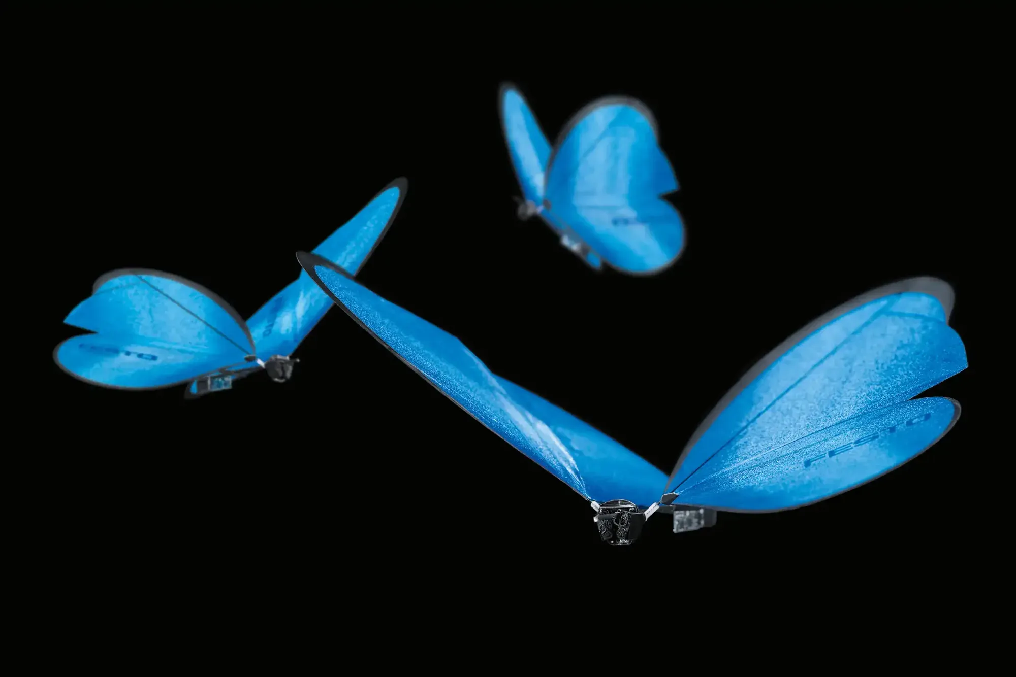 Blue robotic butterflies flying in a swarm