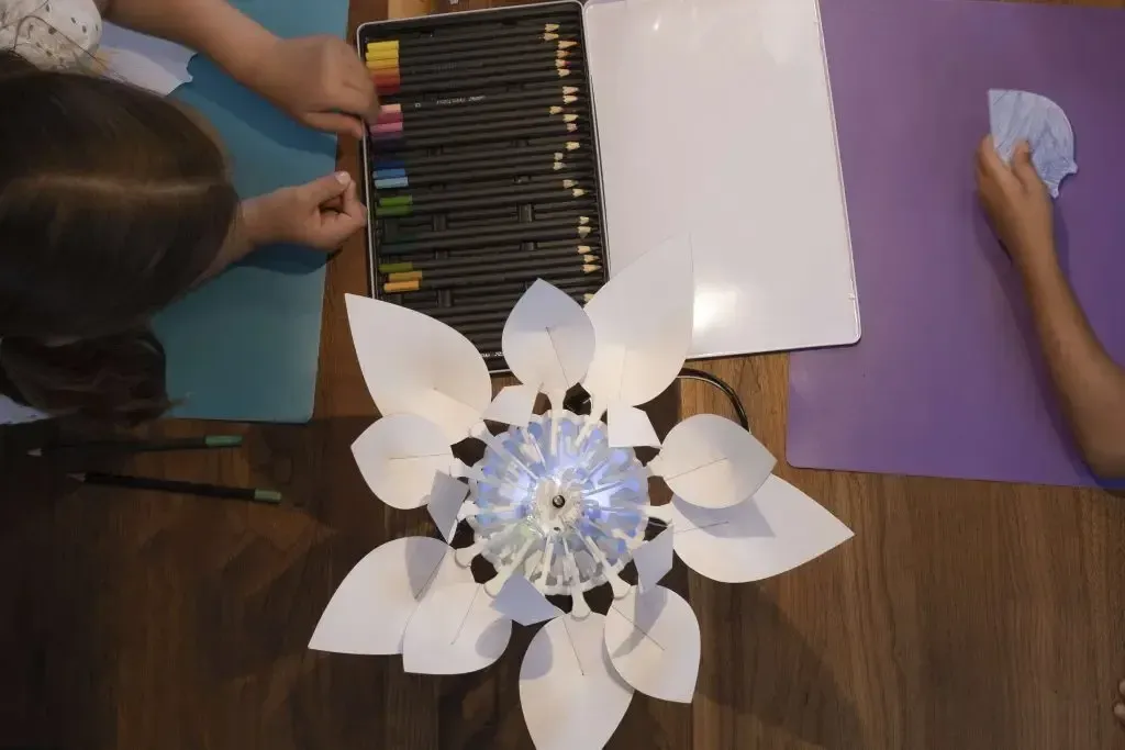 Bionic Flower — an Education Kit for STEAM — photo 5
