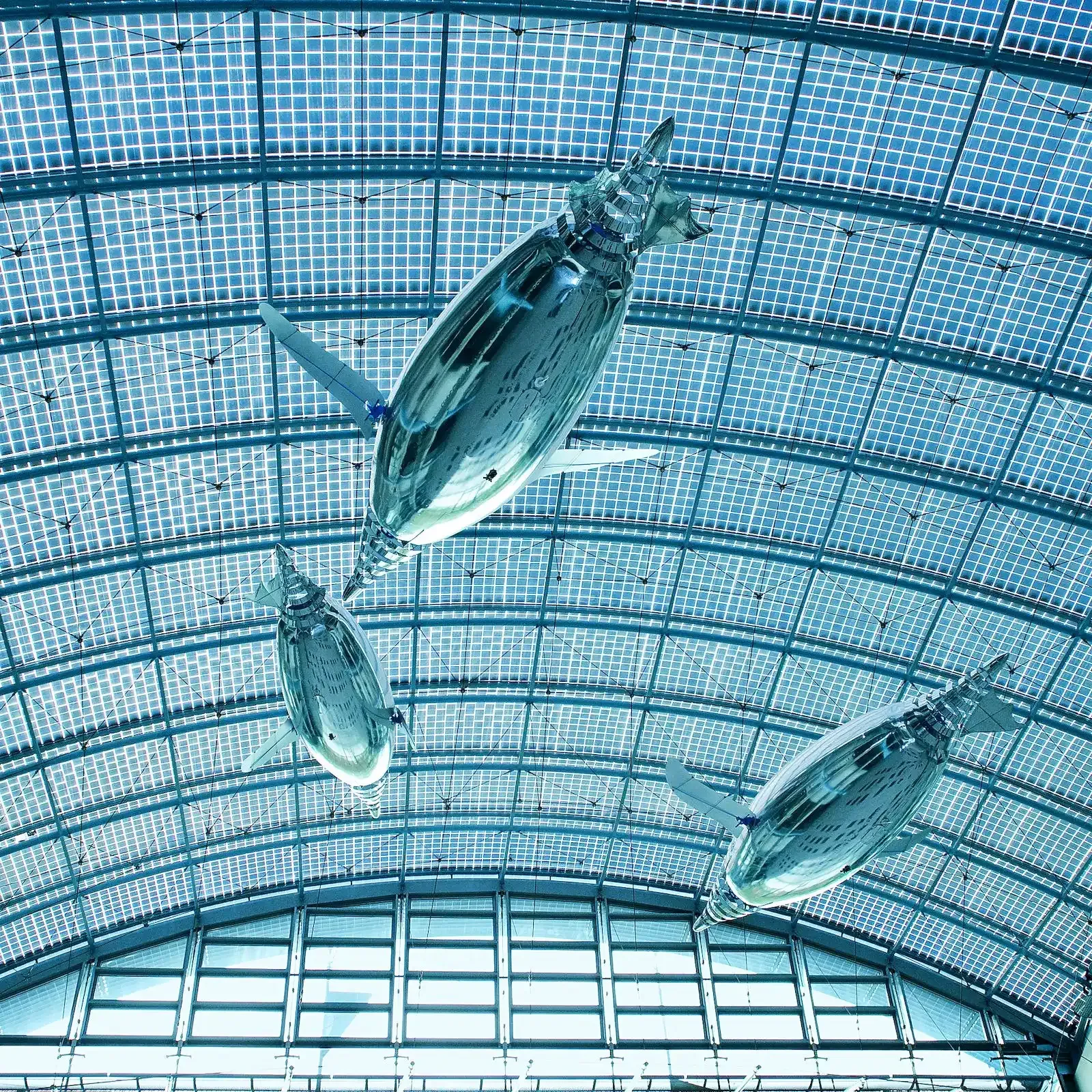AirPenguins — photo 4
