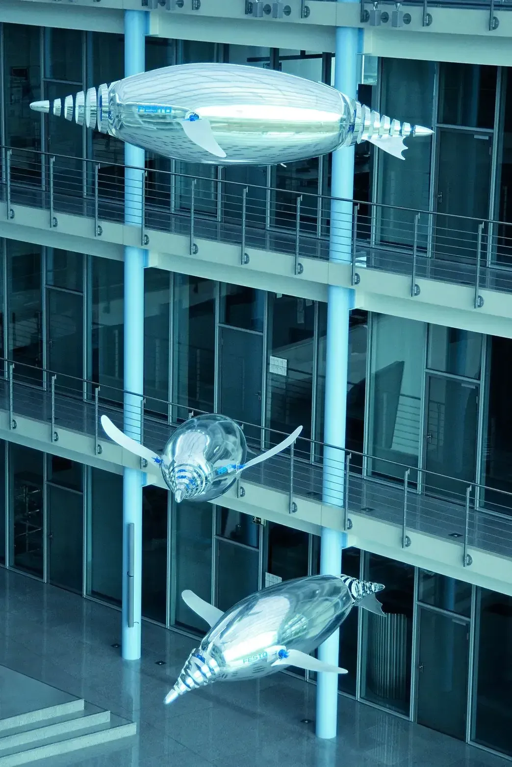 AirPenguins — photo 5