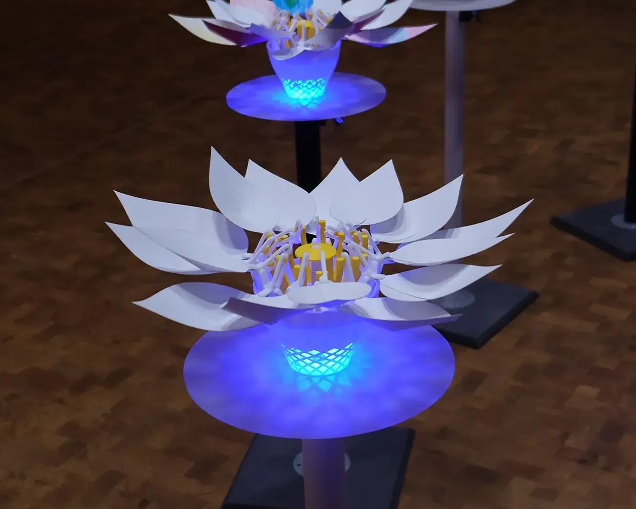 “AI Blossom” at Experimenta Science Center — photo 4