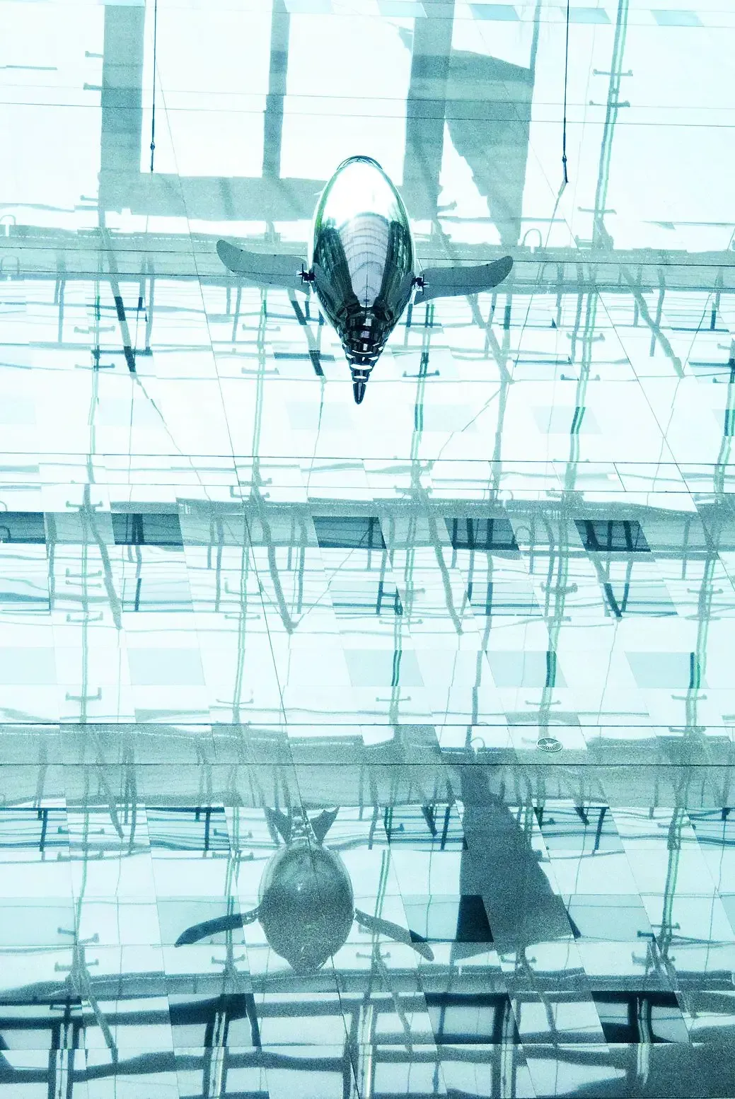 AirPenguins — photo 3