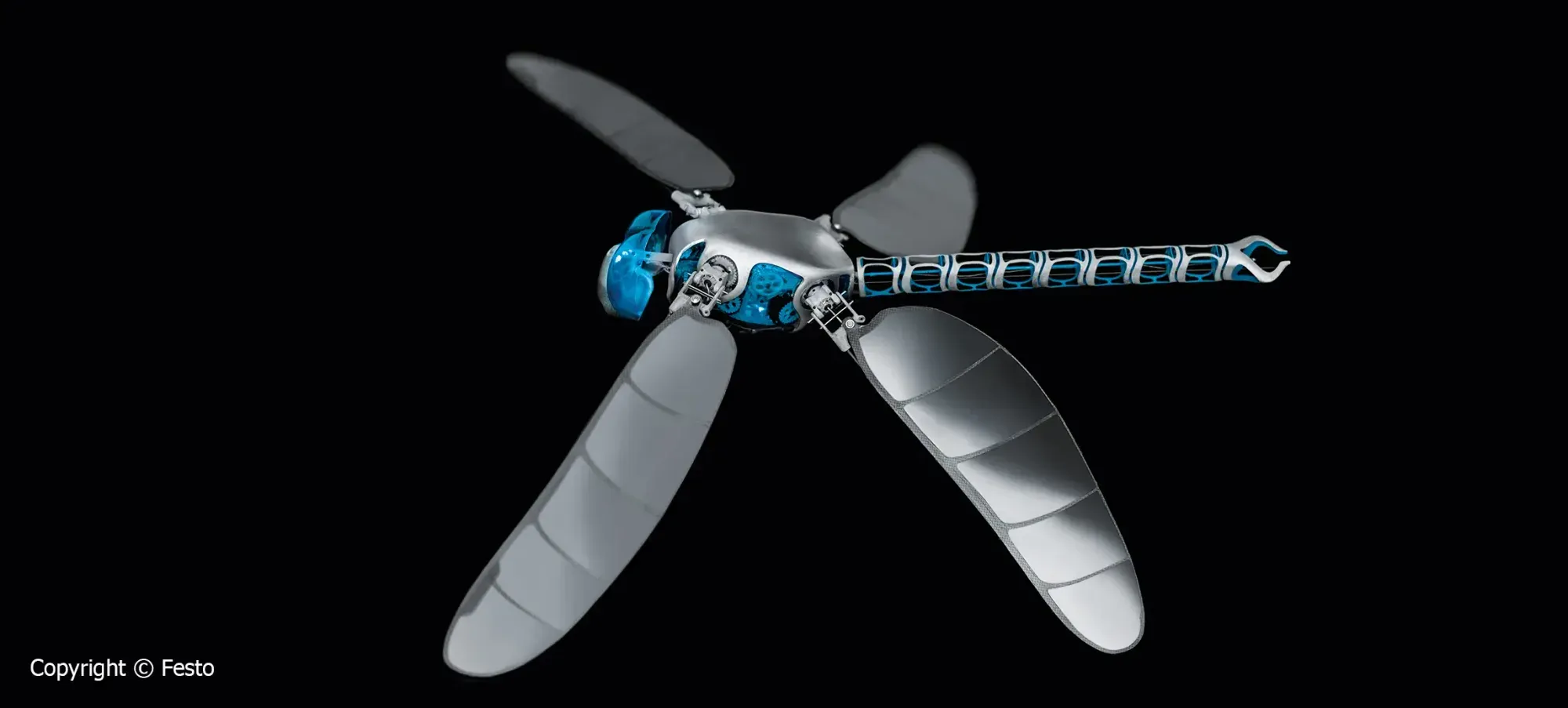 BionicOpter — photo 3